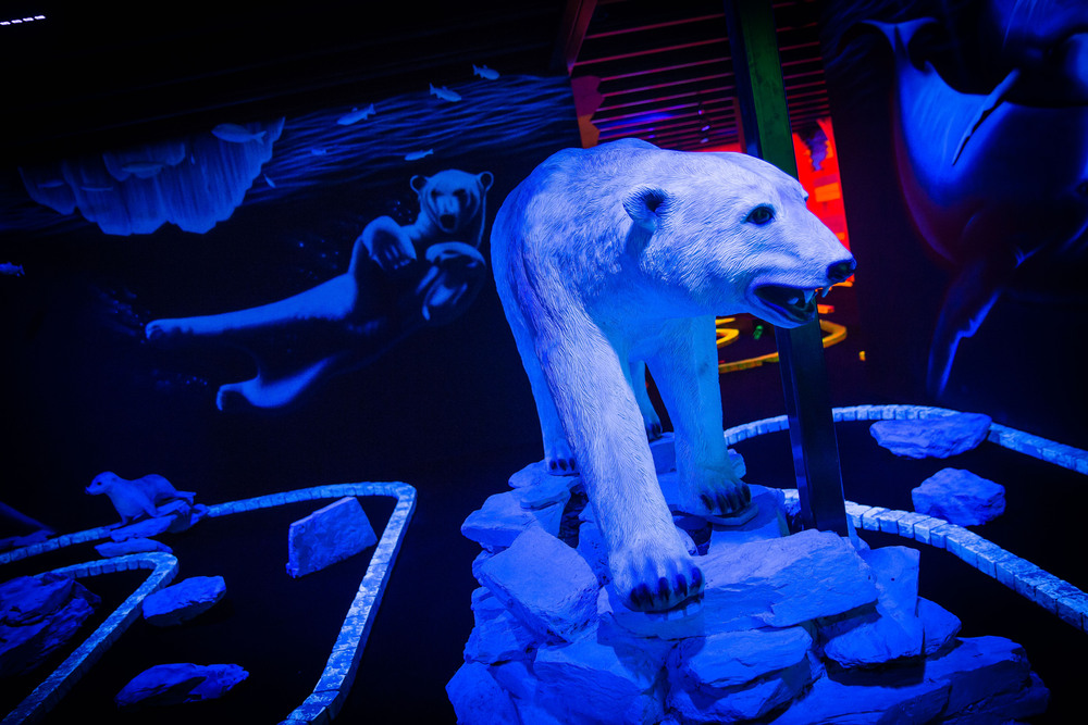 Schwarzlicht-Minigolf bei All in Echt – Impression 6